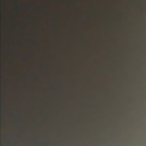 Meet your Posher, Latesha